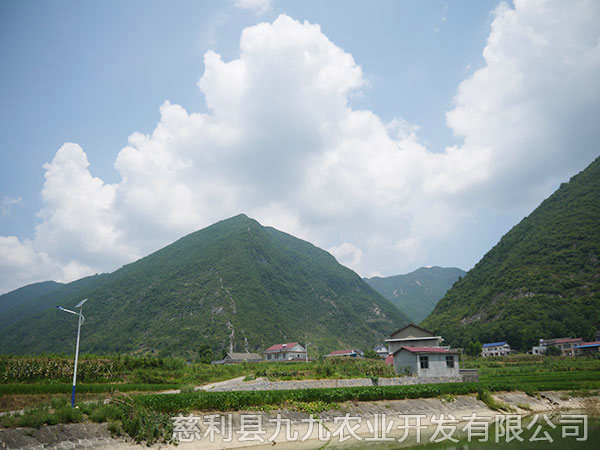 南山坪基地