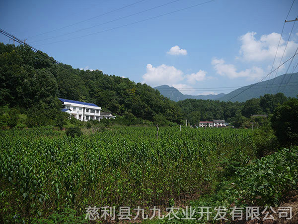 岩泊渡基地